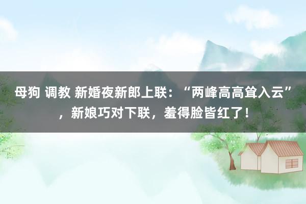 母狗 调教 新婚夜新郎上联：“两峰高高耸入云”，新娘巧对下联，羞得脸皆红了！