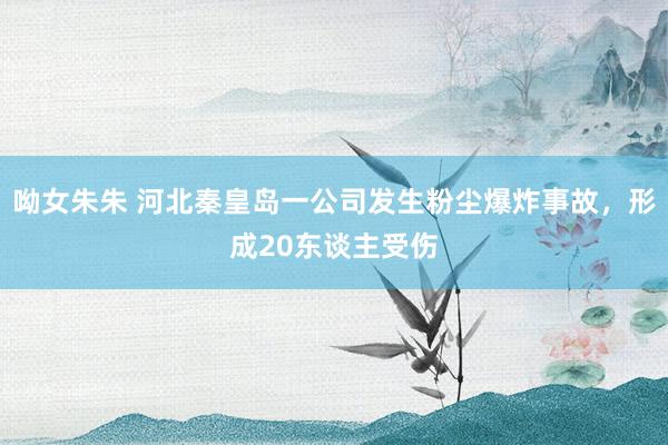 呦女朱朱 河北秦皇岛一公司发生粉尘爆炸事故，形成20东谈主受伤