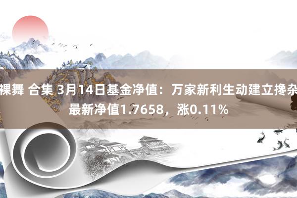 裸舞 合集 3月14日基金净值：万家新利生动建立搀杂最新净值1.7658，涨0.11%