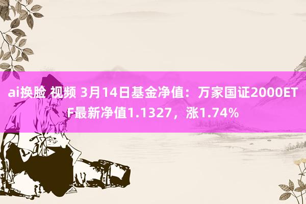 ai换脸 视频 3月14日基金净值：万家国证2000ETF最新净值1.1327，涨1.74%