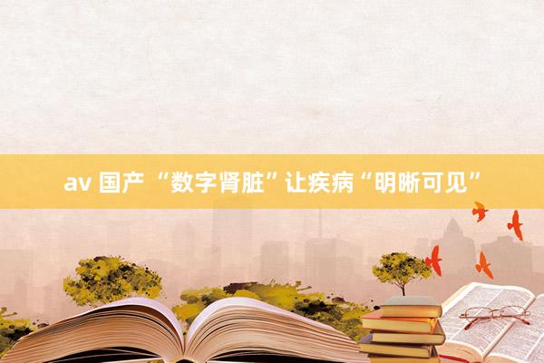 av 国产 “数字肾脏”让疾病“明晰可见”