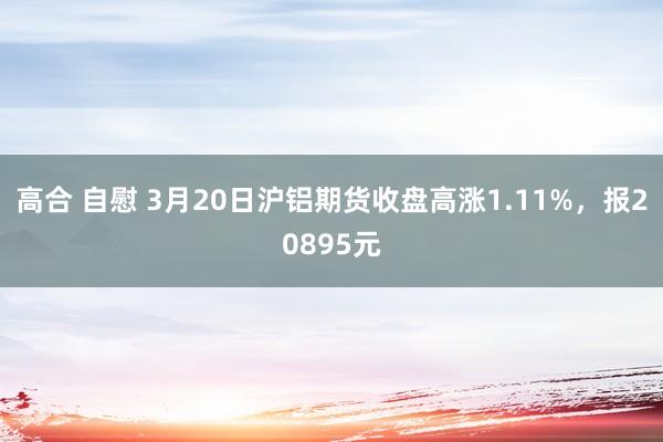 高合 自慰 3月20日沪铝期货收盘高涨1.11%，报20895元