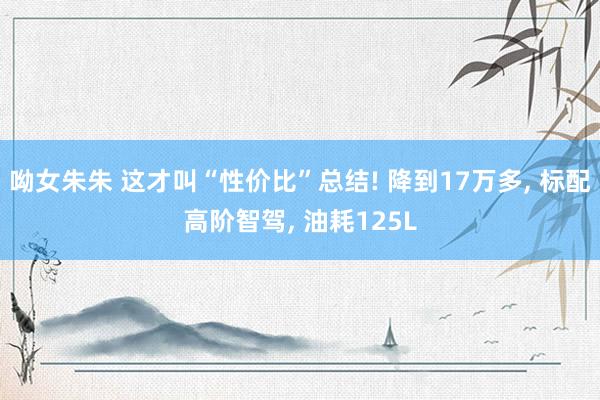 呦女朱朱 这才叫“性价比”总结! 降到17万多， 标配高阶智驾， 油耗125L