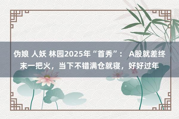伪娘 人妖 林园2025年“首秀”： A股就差终末一把火，当下不错满仓就寝，好好过年
