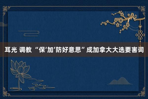 耳光 调教 “保‘加’防好意思”成加拿大大选要害词