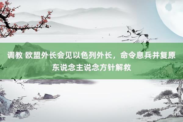 调教 欧盟外长会见以色列外长，命令息兵并复原东说念主说念方针解救