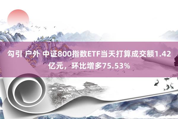 勾引 户外 中证800指数ETF当天打算成交额1.42亿元，环比增多75.53%