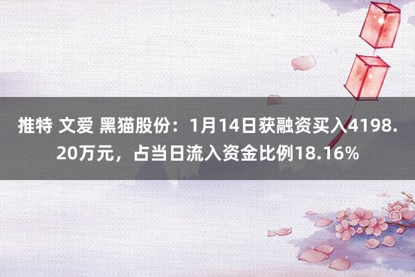 推特 文爱 黑猫股份：1月14日获融资买入4198.20万元，占当日流入资金比例18.16%