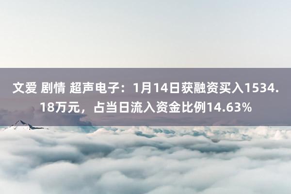 文爱 剧情 超声电子：1月14日获融资买入1534.18万元，占当日流入资金比例14.63%