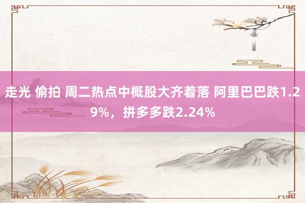 走光 偷拍 周二热点中概股大齐着落 阿里巴巴跌1.29%，拼多多跌2.24%