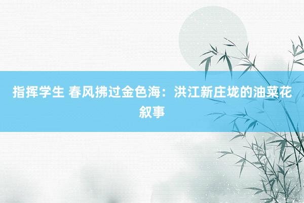 指挥学生 春风拂过金色海：洪江新庄垅的油菜花叙事