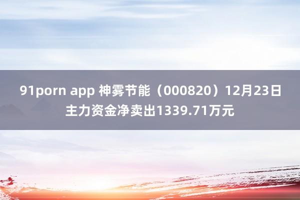 91porn app 神雾节能（000820）12月23日主力资金净卖出1339.71万元