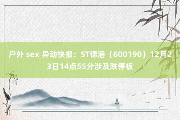 户外 sex 异动快报：ST锦港（600190）12月23日14点55分涉及跌停板