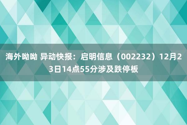 海外呦呦 异动快报：启明信息（002232）12月23日14点55分涉及跌停板