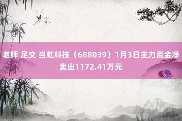 老师 足交 当虹科技（688039）1月3日主力资金净卖出1172.41万元