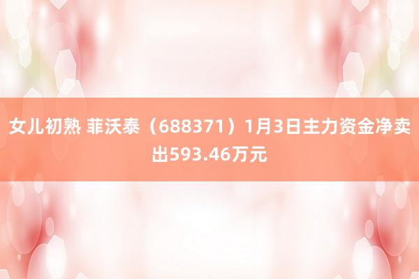 女儿初熟 菲沃泰（688371）1月3日主力资金净卖出593.46万元