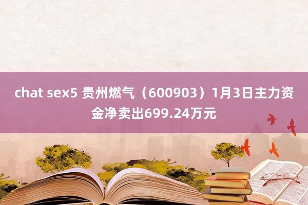 chat sex5 贵州燃气（600903）1月3日主力资金净卖出699.24万元