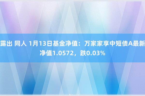 露出 同人 1月13日基金净值：万家家享中短债A最新净值1.0572，跌0.03%