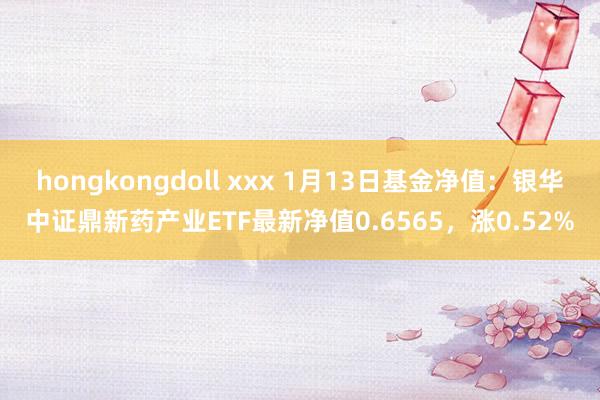 hongkongdoll xxx 1月13日基金净值：银华中证鼎新药产业ETF最新净值0.6565，涨0.52%