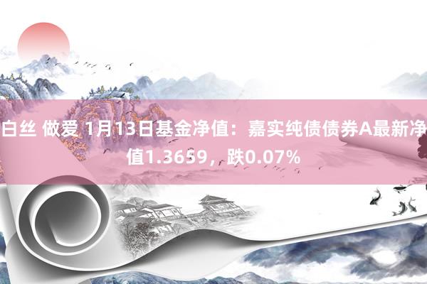 白丝 做爱 1月13日基金净值：嘉实纯债债券A最新净值1.3659，跌0.07%
