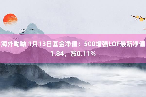海外呦呦 1月13日基金净值：500增强LOF最新净值1.84，涨0.11%