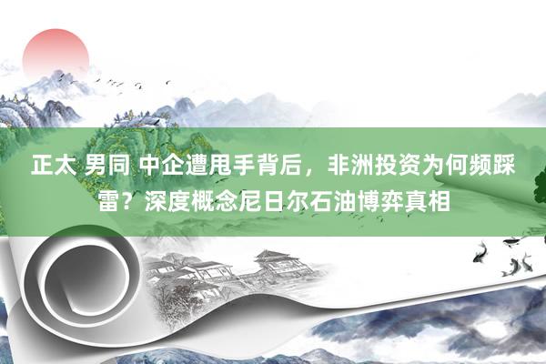 正太 男同 中企遭甩手背后，非洲投资为何频踩雷？深度概念尼日尔石油博弈真相