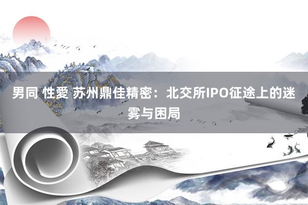 男同 性愛 苏州鼎佳精密：北交所IPO征途上的迷雾与困局