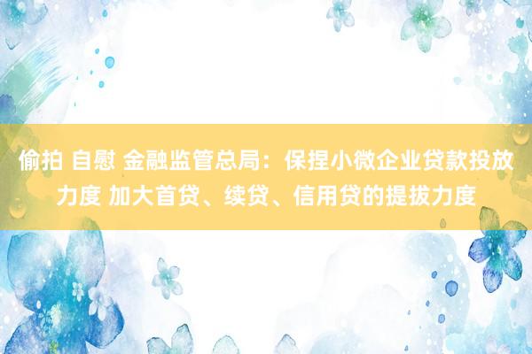 偷拍 自慰 金融监管总局：保捏小微企业贷款投放力度 加大首贷、续贷、信用贷的提拔力度