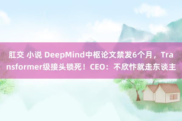 肛交 小说 DeepMind中枢论文禁发6个月，Transformer级接头锁死！CEO：不欣忭就走东谈主