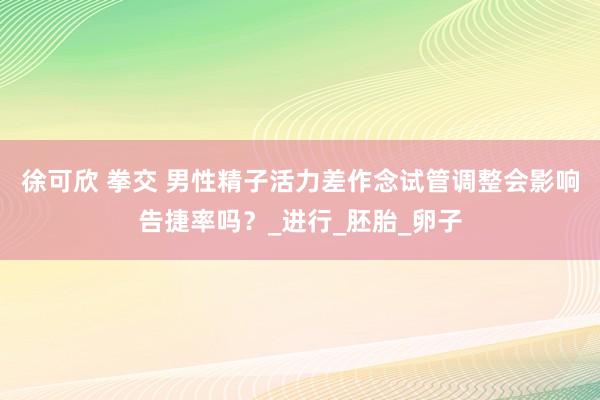 徐可欣 拳交 男性精子活力差作念试管调整会影响告捷率吗？_进行_胚胎_卵子