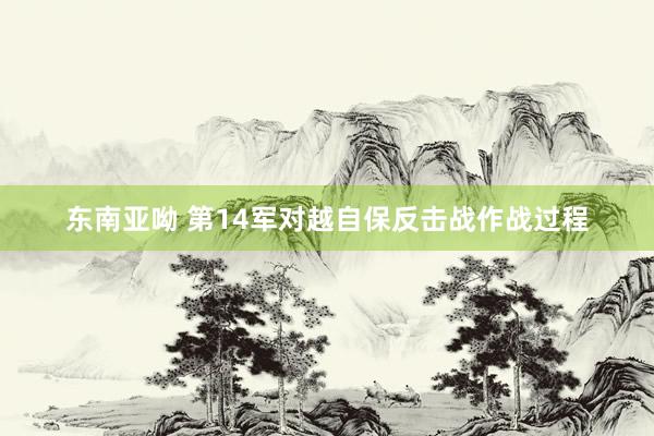 东南亚呦 第14军对越自保反击战作战过程