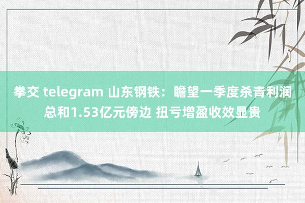 拳交 telegram 山东钢铁：瞻望一季度杀青利润总和1.53亿元傍边 扭亏增盈收效显贵