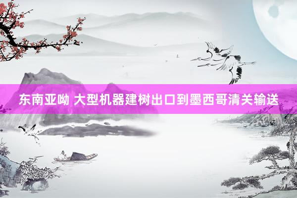 东南亚呦 大型机器建树出口到墨西哥清关输送