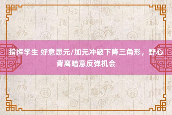 指挥学生 好意思元/加元冲破下降三角形，野心背离暗意反弹机会