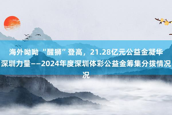 海外呦呦 “醒狮”登高，21.28亿元公益金凝华深圳力量——2024年度深圳体彩公益金筹集分拨情况