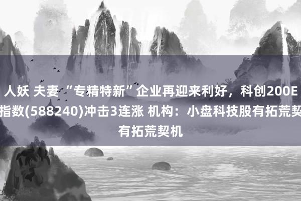 人妖 夫妻 “专精特新”企业再迎来利好，科创200ETF指数(588240)冲击3连涨 机构：小盘科技股有拓荒契机