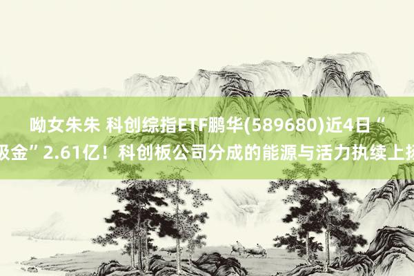 呦女朱朱 科创综指ETF鹏华(589680)近4日“吸金”2.61亿！科创板公司分成的能源与活力执续上扬