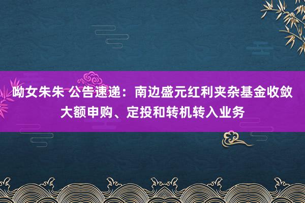呦女朱朱 公告速递：南边盛元红利夹杂基金收敛大额申购、定投和转机转入业务