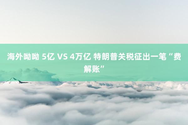海外呦呦 5亿 VS 4万亿 特朗普关税征出一笔“费解账”