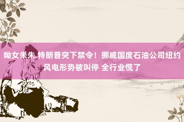 呦女朱朱 特朗普突下禁令！挪威国度石油公司纽约风电形势被叫停 全行业慌了