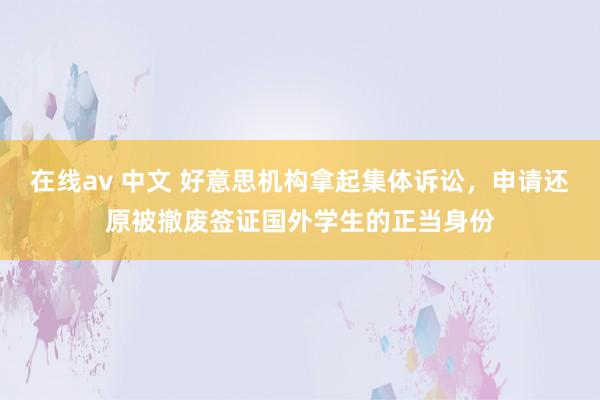 在线av 中文 好意思机构拿起集体诉讼，申请还原被撤废签证国外学生的正当身份