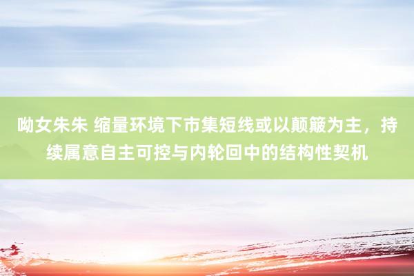 呦女朱朱 缩量环境下市集短线或以颠簸为主，持续属意自主可控与内轮回中的结构性契机