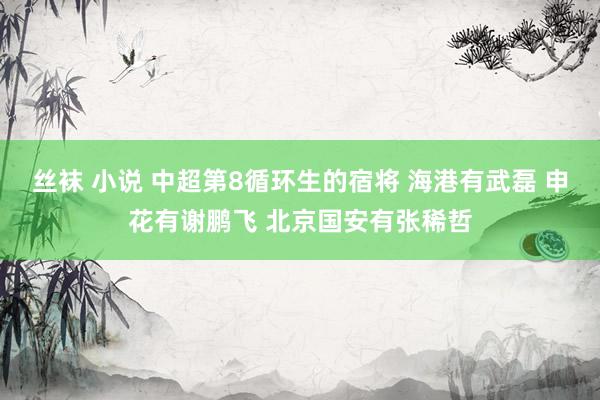 丝袜 小说 中超第8循环生的宿将 海港有武磊 申花有谢鹏飞 北京国安有张稀哲