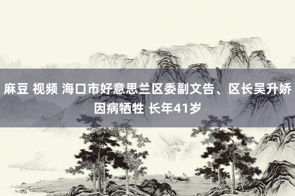 麻豆 视频 海口市好意思兰区委副文告、区长吴升娇因病牺牲 长年41岁