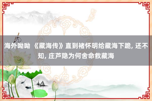 海外呦呦 《藏海传》直到褚怀明给藏海下跪， 还不知， 庄芦隐为何舍命救藏海